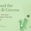 Beyond the Gym & Greens, Why Your Nervous System Holds The Key To Healing